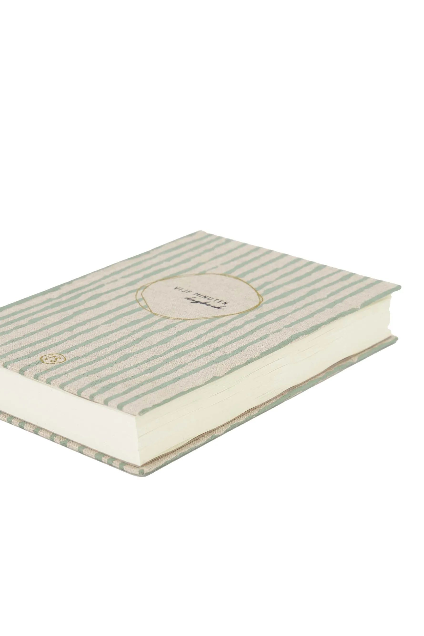 zusss vijf minuten dagboek penseelstreken saliegroen